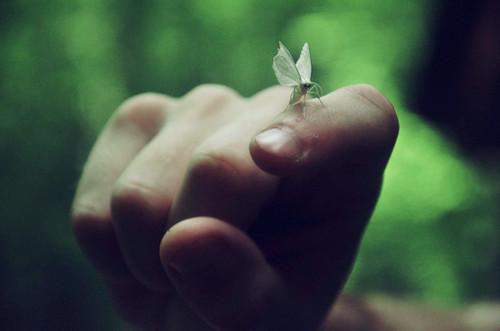 婆婆领着老公的前女友上门挑衅，老公顶着我的脸一个逼斗甩过去无广告 周沉砚林芝在线免费阅读