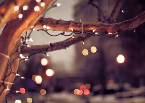 林宇高欣欣全文免费大结局 林宇高欣欣小说在线阅读