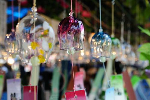 阮姝迟叙小说 阮姝迟叙完整版免费阅读