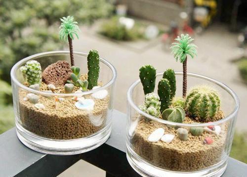 主角名是伏梦悦柳辰夜全文免费阅读正版