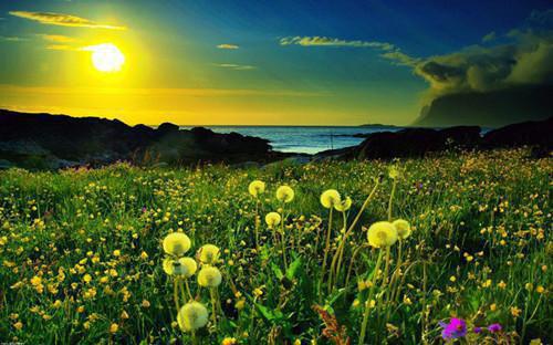 姜眠夕姜眠曲小说 姜眠夕姜眠曲完整版免费阅读