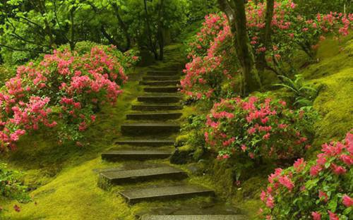 乔伊伊霍临胤小说全文阅读 乔伊伊霍临胤第二章