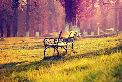 苏悠悠季修免费阅读目录 苏悠悠季修小说全文