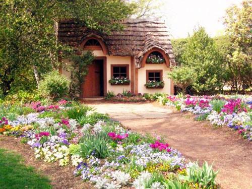 温洛离谢清月（谢清月温洛离）全文免费阅读无弹窗_温洛离谢清月全文免费阅读无弹窗最新章节列表