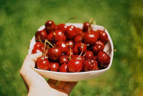 陆砚琛沈慈全文免费阅读无弹窗大结局 陆砚琛沈慈沈慈陆砚琛全文全章节免费阅读