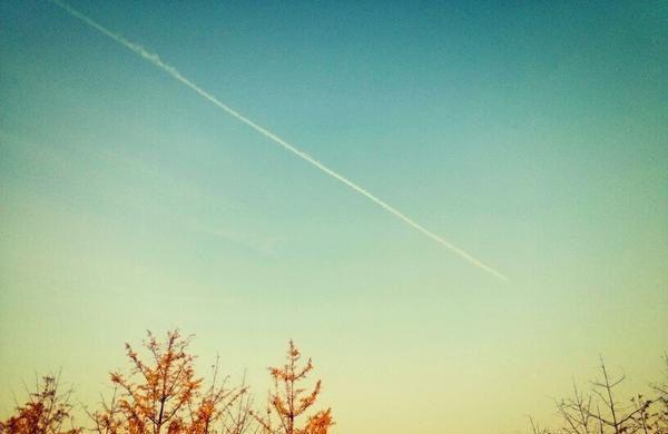 (最新)沈瑾弋周楚悦厉野小说完整版免费阅读