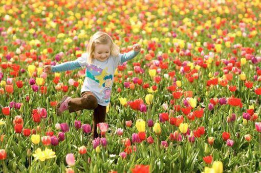 求你明恋我秦迎夏靳酌全文阅读(完整版)