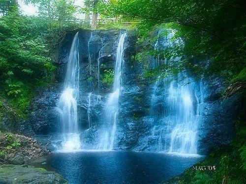 披着羊皮的狼江翘陈若芯宋棠by临顺
