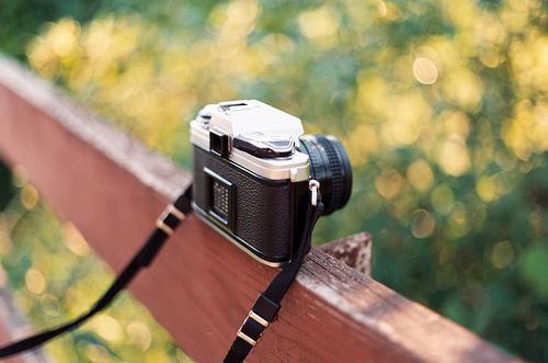 (抖音小说)陶婧琳魏意轩免费阅读第二章