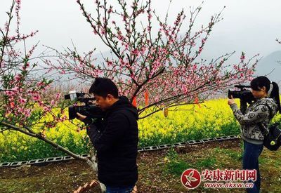 《白河夜船》经典读后感10篇