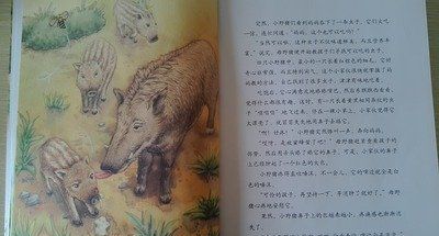 The Charisma Myth的读后感10篇