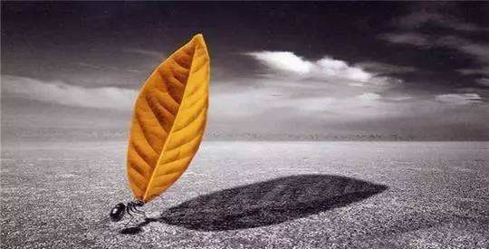 不慌是种底气,不乱是种境界