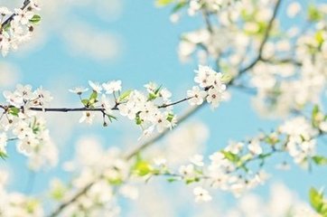 爱因思念而美丽