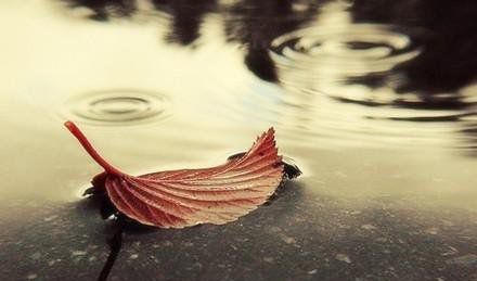 人生最曼妙的风景,竟是内心的淡定与从容