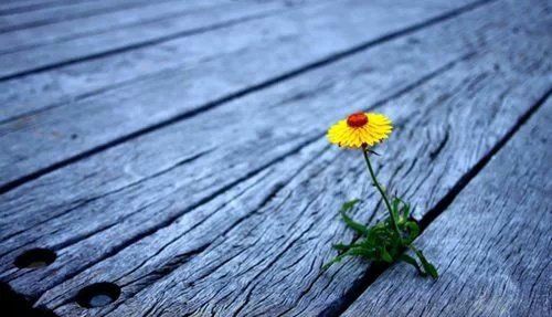 路,没有错,错的只是选择