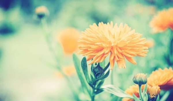 嫁给爱情之前，你要先成为最好的自己