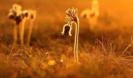 与人相处,保持这三种修养,人缘更好,关系更和谐