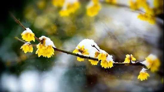 与人相处,保持这三种修养,人缘更好,关系更和谐