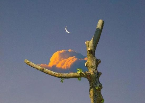 成功的人生,有四个关键词