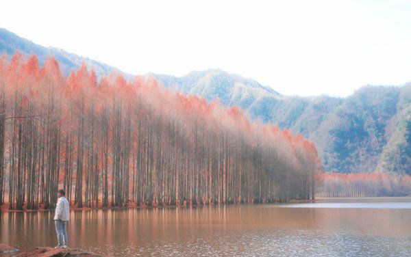 一个男人的真正成熟,从三个失去开始