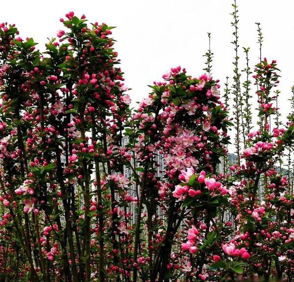 守住内心的简静