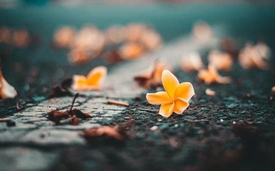 人，不能太闲（精辟）！