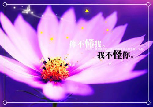 铁血尖兵林丰麻卓敏(APP内全文阅读)完结版