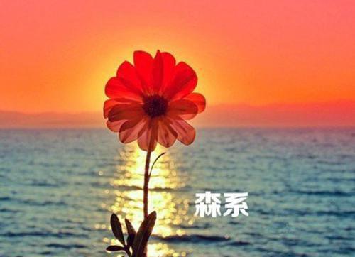 为陪女儿读书，爸爸戒掉手机获赞20万：这才是“拼爹”的最高境界