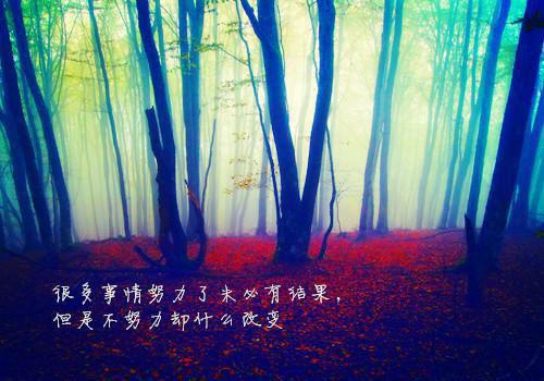 (番外)+(全文)三尺神明：云婳谢景行小说免费下载阅读_(谢景行云婳)三尺神明：云婳谢景行最新章节列表（谢景行云婳）